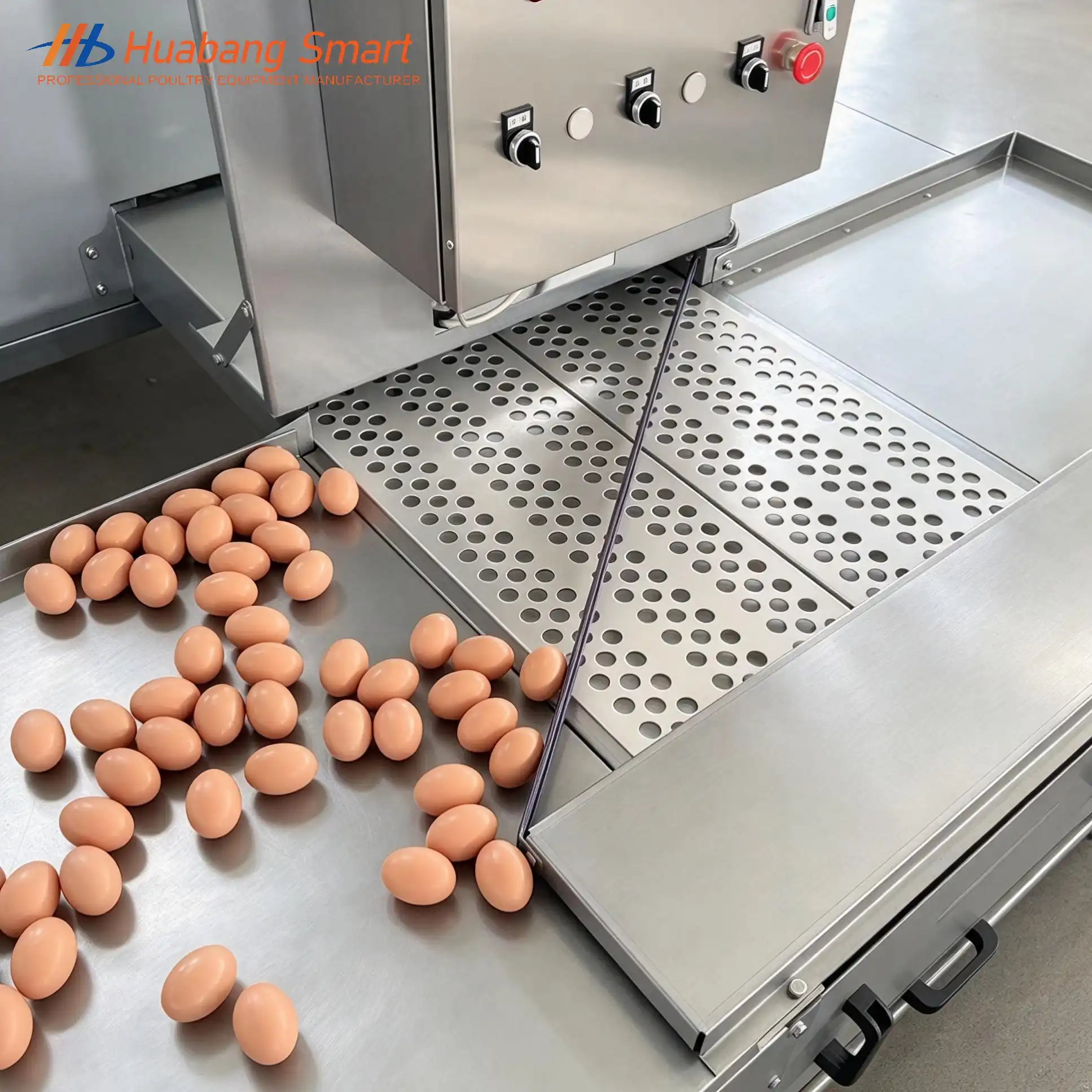 automatic laying nest for chicken